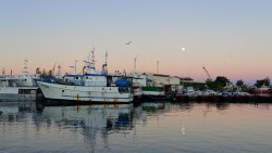 Partis en mer par une météo difficile, deux pêcheurs retrouvés morts et un troisième rescapé en Polynésie française