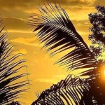 Météo: une matinée ensoleillée à La Réunion