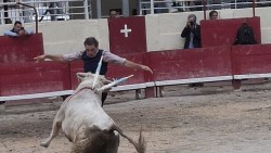 Les toros à l’honneur malgré les caprices de la météo