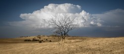 Concours photo 2026 : découvrez les vainqueurs de la 6e édition de L'Œil du climat
