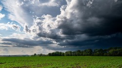 EN DIRECT - Météo : neuf départements en vigilance orange face aux orages, la canicule cède du terrain