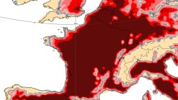 Jusqu’à 42 °C dès mercredi : la chaleur pourrait durer jusqu’au 9 août 26/07/2026