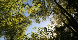 Saône-et-Loire. Météo : un mardi sous le soleil et des températures douces