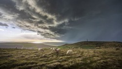 Météo-France place le Pas-de-Calais en vigilance orange "pluie-inondation" à partir de 20 heures