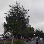 Météo: la grisaille ce lundi dans l’Est de La Réunion, un temps plus sec dans l’Ouest