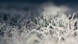 Météo : "Premières gelées de la saison", chute des températures... quels ont été les secteurs les plus touchés en Aveyron, ce vendredi matin