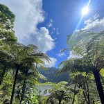 Météo: le soleil toujours présent ce jeudi à La Réunion