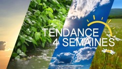 Tendance météo à 4 semaines : nouvelle canicule et aggravation de la sécheresse jusqu'à mi-août