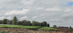 Météo dans les Hauts-de-France pour ce mardi 13 octobre : journée maussade avant le retour du soleil mercredi