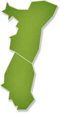 image region